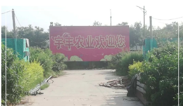建一個市場、興一方產(chǎn)業(yè)、富一方百姓，孝義農(nóng)產(chǎn)品大市場產(chǎn)供銷一體化在行動！