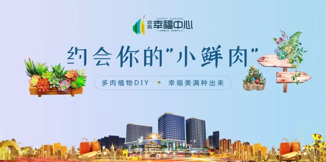 約會你的“小鮮肉” 多肉植物DIY，幸福美滿種出來