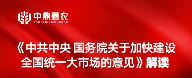 《中共中央 國(guó)務(wù)院關(guān)于加快建設(shè)全國(guó)統(tǒng)一大市場(chǎng)的意見(jiàn)》解讀